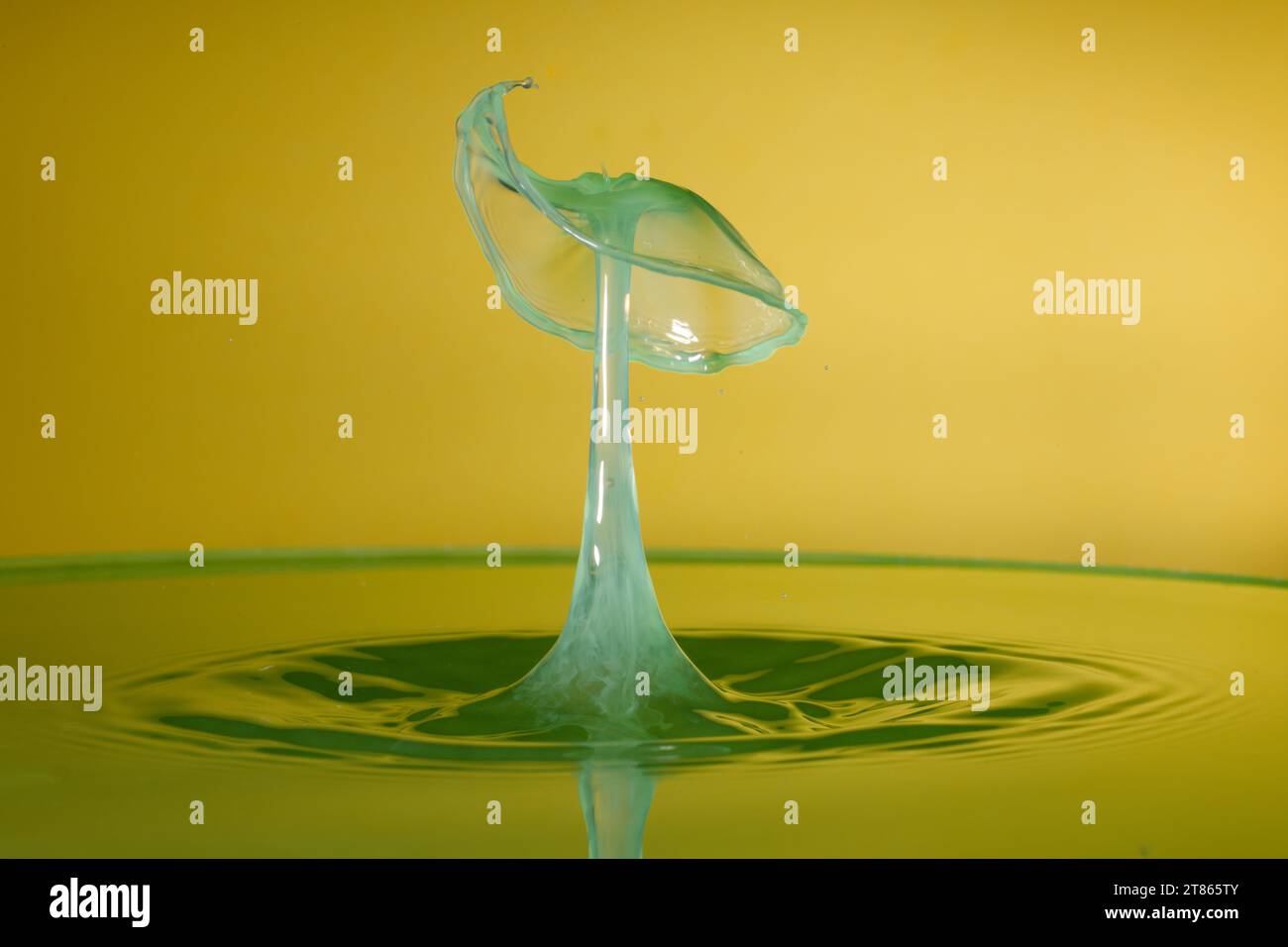 Wassertropfen kollidierten zu abstrakten Spritzern Stockfoto