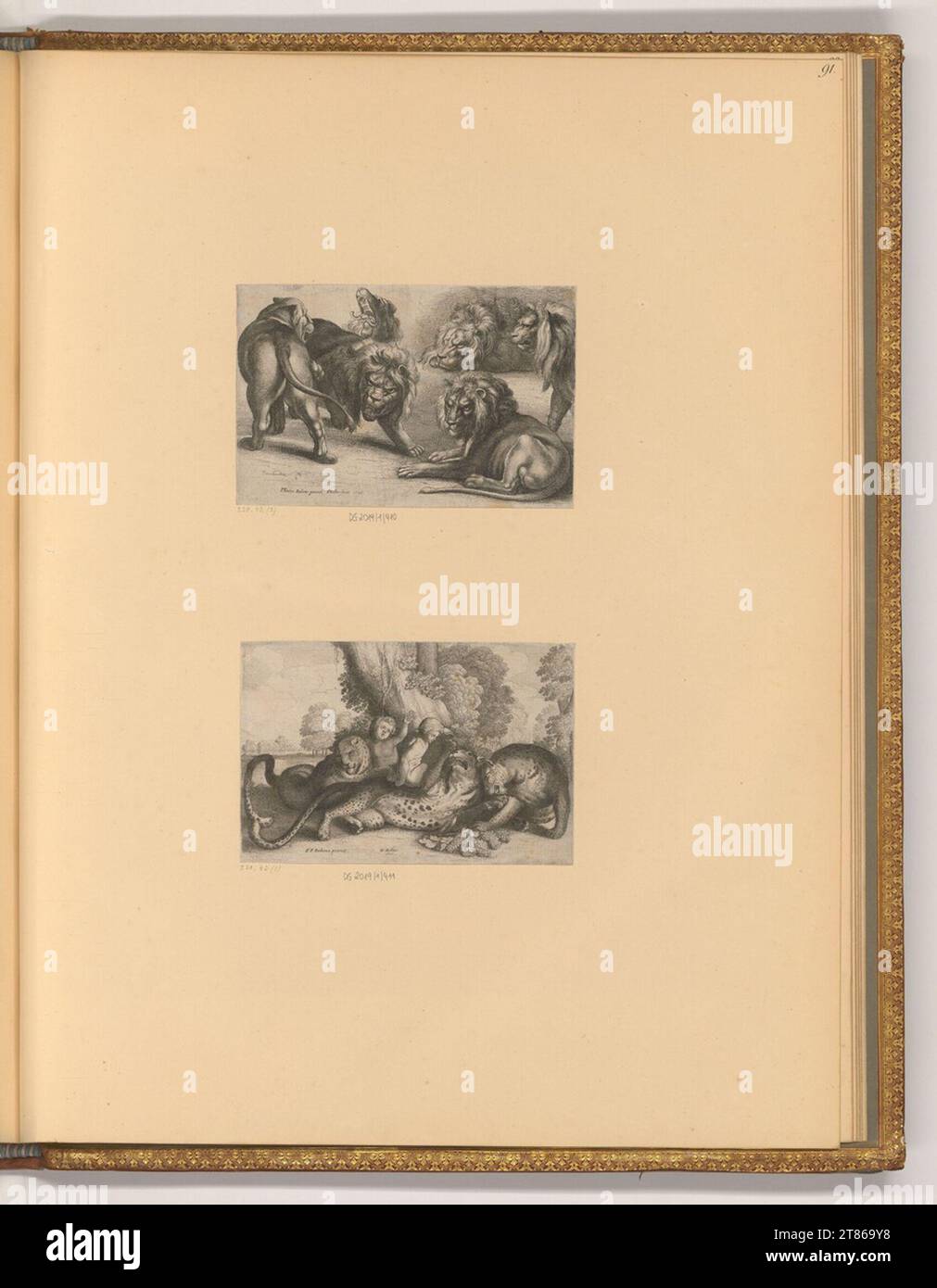 Wenzel Hollar Löwen; Leoparden. Ätzen 1646 , 1646 Stockfoto