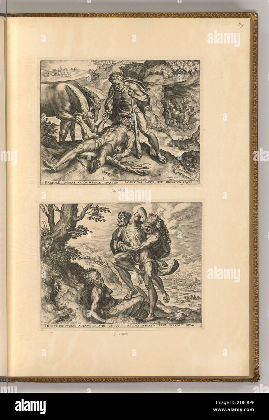 Cornelis Cort (Gravierer) Hercules wirft Diomedes seine eigenen Stuten zum Essen vor und Hercules verursacht Cacus; Hercules besiegt Antaeus. Kupferstich 1563 , 1563 Stockfoto