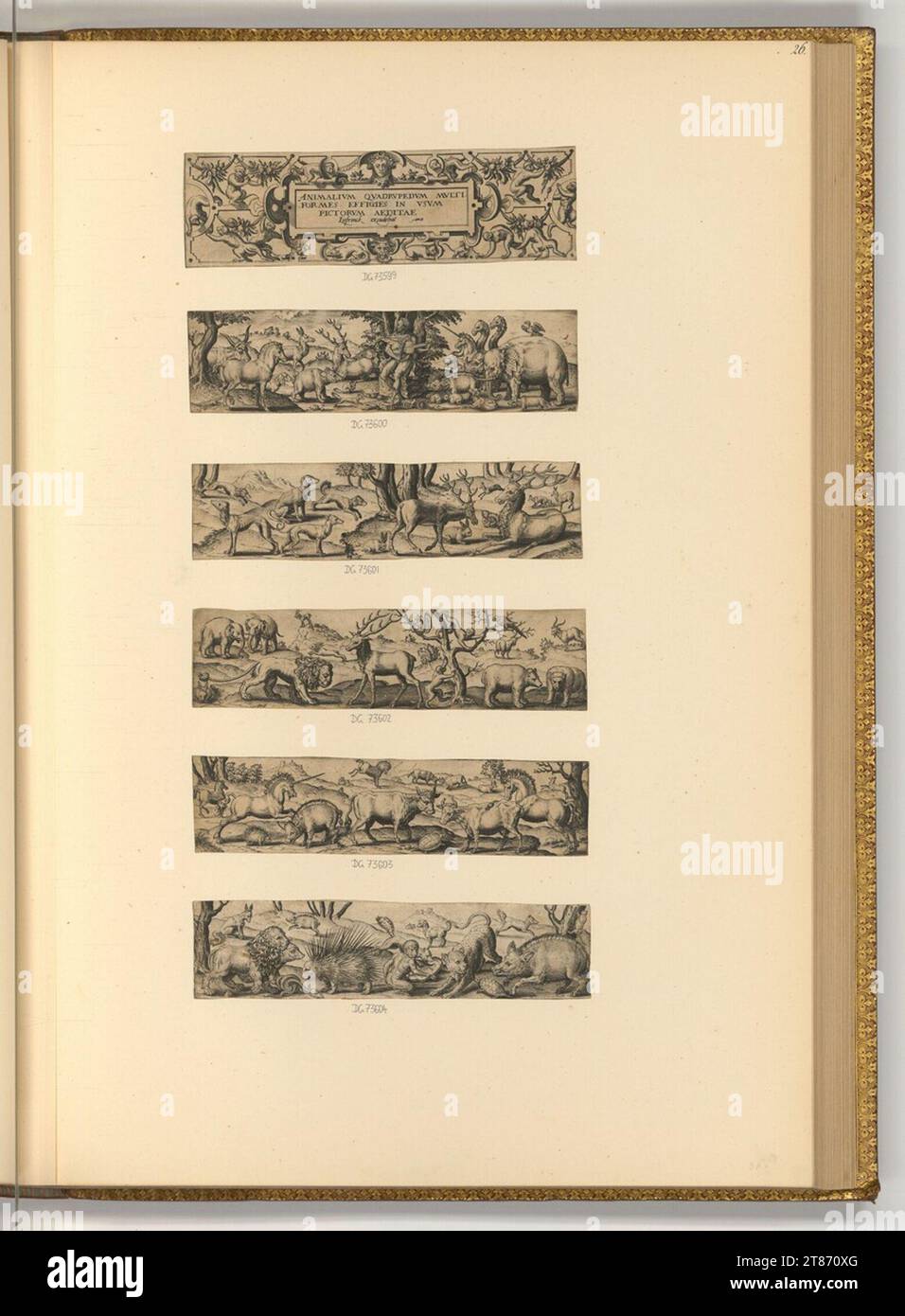 Abraham de Bruyn (Engraver) Tiere oder Tiere. Kupferstich 1578 , 1578 Stockfoto