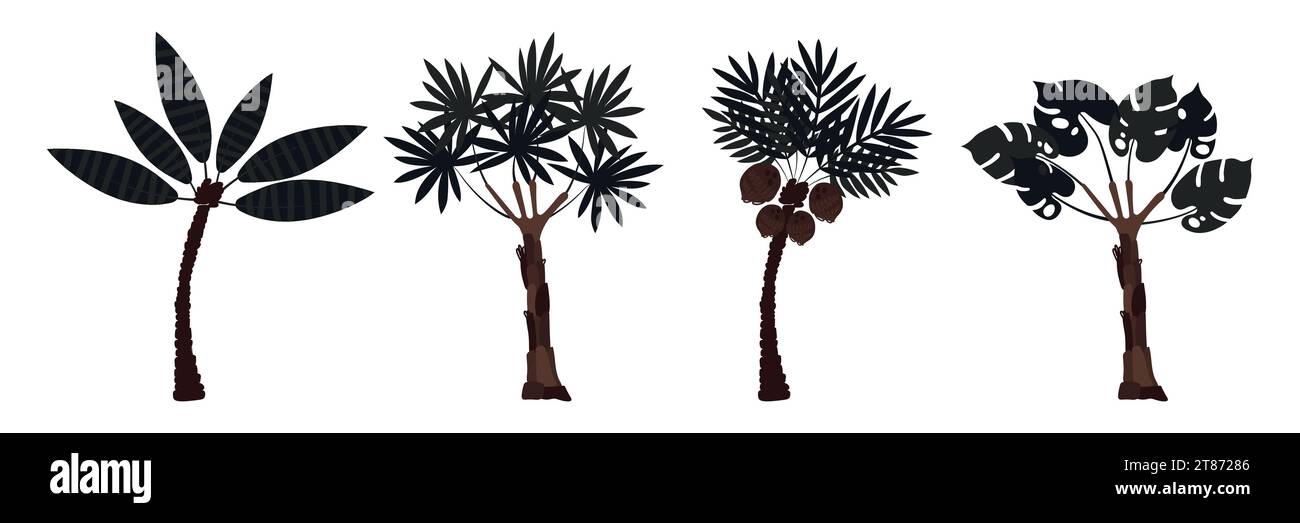 Palmengruppe: Kokosnuss und Banane. Große geschnitzte Blätter und dunkle Stämme. Pflanzen. Vektorabbildung Stock Vektor
