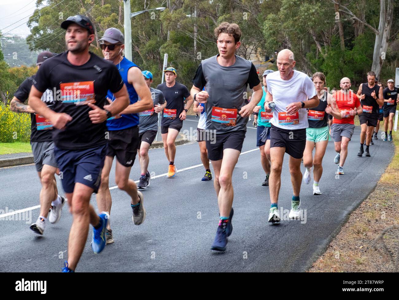 Die Teilnehmer des jährlichen Point-to-Pinnacle-Rennens fahren einen Halbmarathon vom Wrest Point Casino bis zum Gipfel des Kunanyi/Mount Wellington in Hobart, Tasmanien, 19. November 2023 Stockfoto