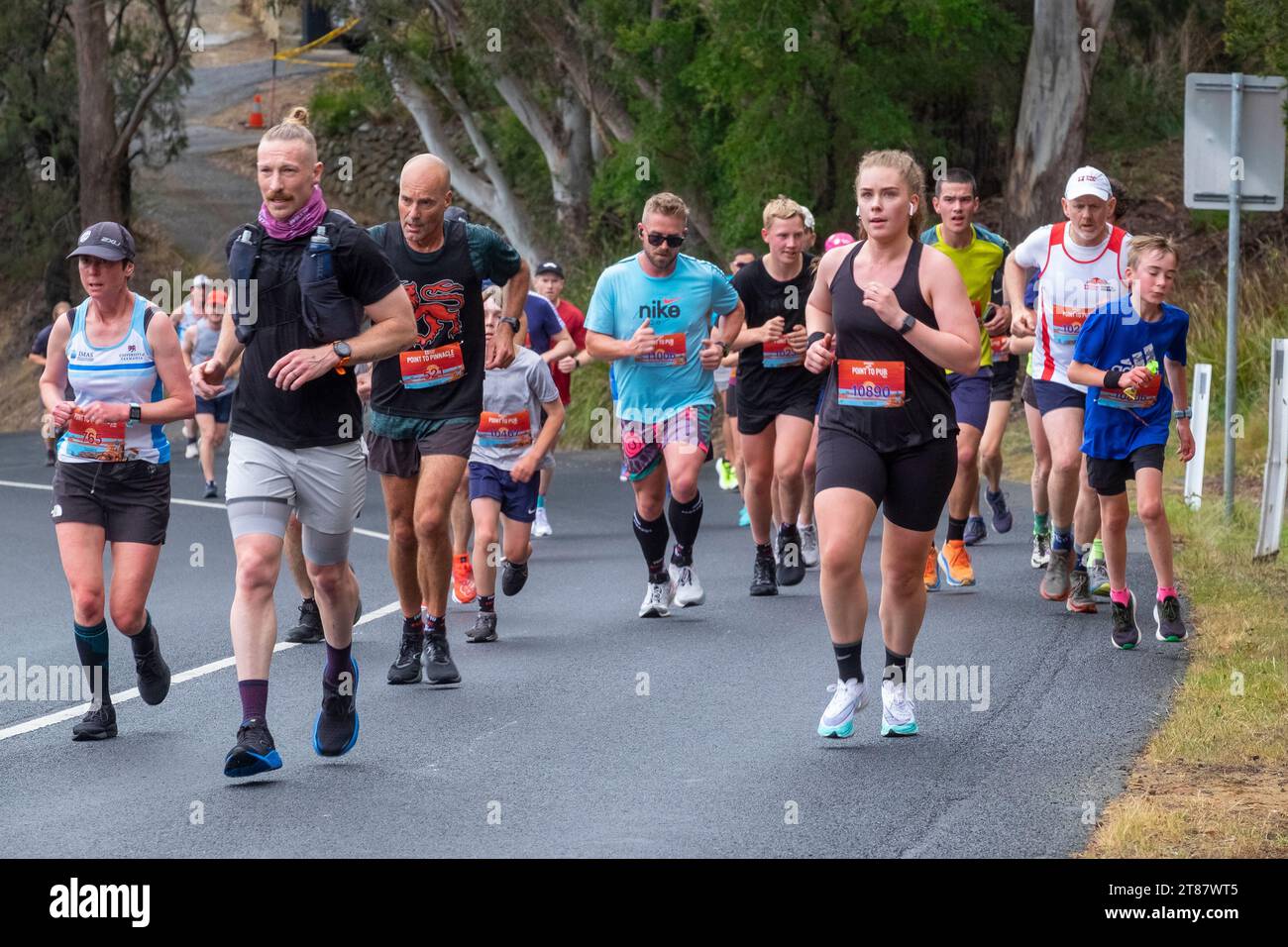 Die Teilnehmer des jährlichen Point-to-Pinnacle-Rennens fahren einen Halbmarathon vom Wrest Point Casino bis zum Gipfel des Kunanyi/Mount Wellington in Hobart, Tasmanien, 19. November 2023 Stockfoto