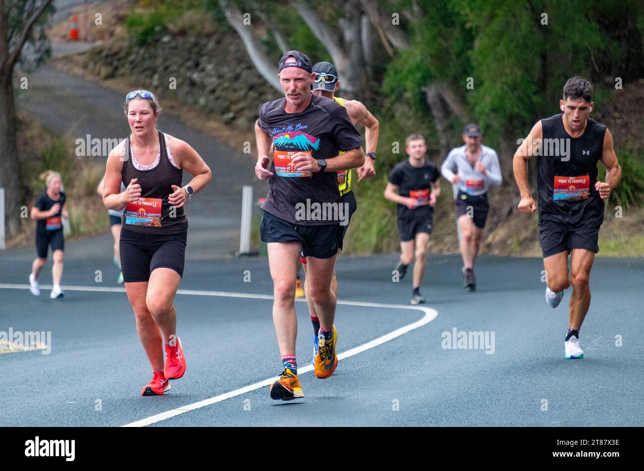 Die Teilnehmer des jährlichen Point-to-Pinnacle-Rennens fahren einen Halbmarathon vom Wrest Point Casino bis zum Gipfel des Kunanyi/Mount Wellington in Hobart, Tasmanien, 19. November 2023 Stockfoto