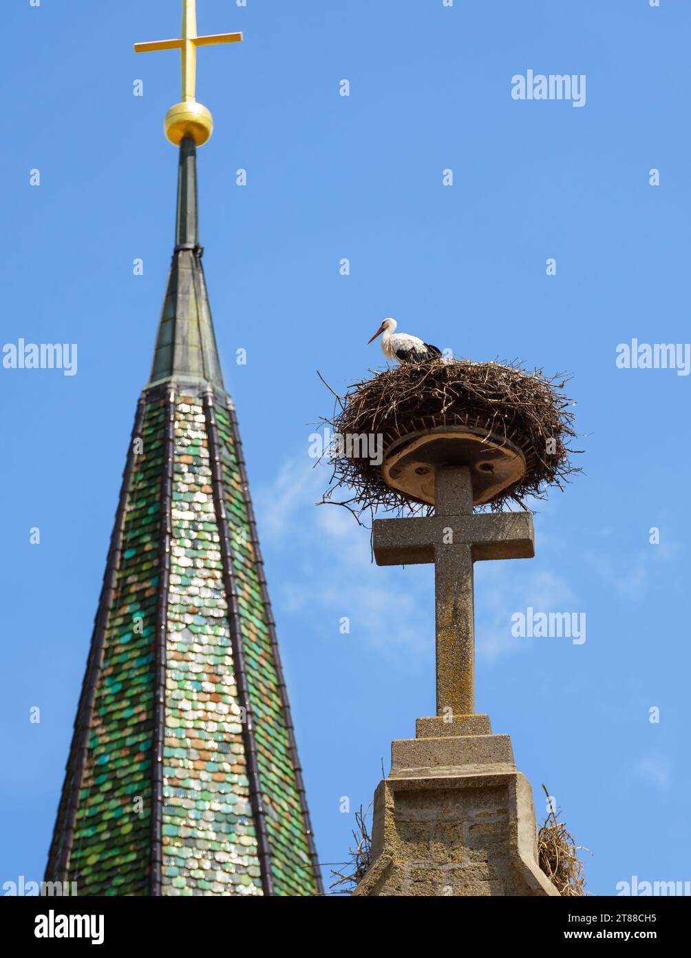 Storch im Nest auf dem Dach der Kirche, weißer Vogel sitzt auf einem großen Steinkreuz des Dachs auf dem Himmelhintergrund. Vertikale Ansicht des Wildstorchs, der auf der Gebäudeoberseite lebt, in s Stockfoto