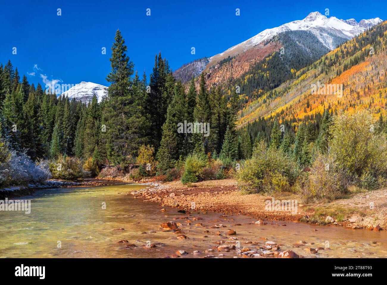 Der treffend benannte und farbenfrohe South Fork des Mineral Creek, mit Herbstfarbe und Schnee in den Bergen hinter dem Kendall Campground bei Silverton, Stockfoto