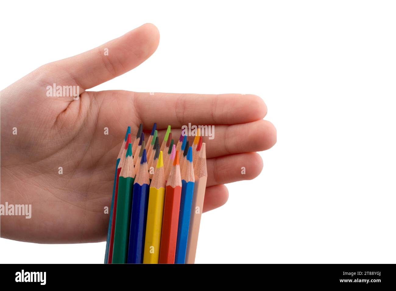 Viele verschiedenfarbige Bleistiftwerkzeuge für künstlerische Kreativität Stockfoto