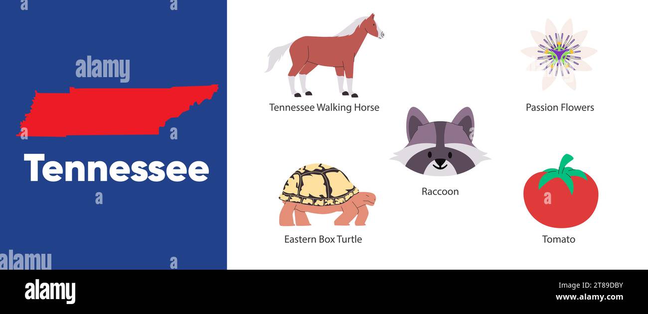 Tennessee zustände des Symbols Objekt Waschbär Leidenschaft Blume Amerika Land Illustration Stock Vektor