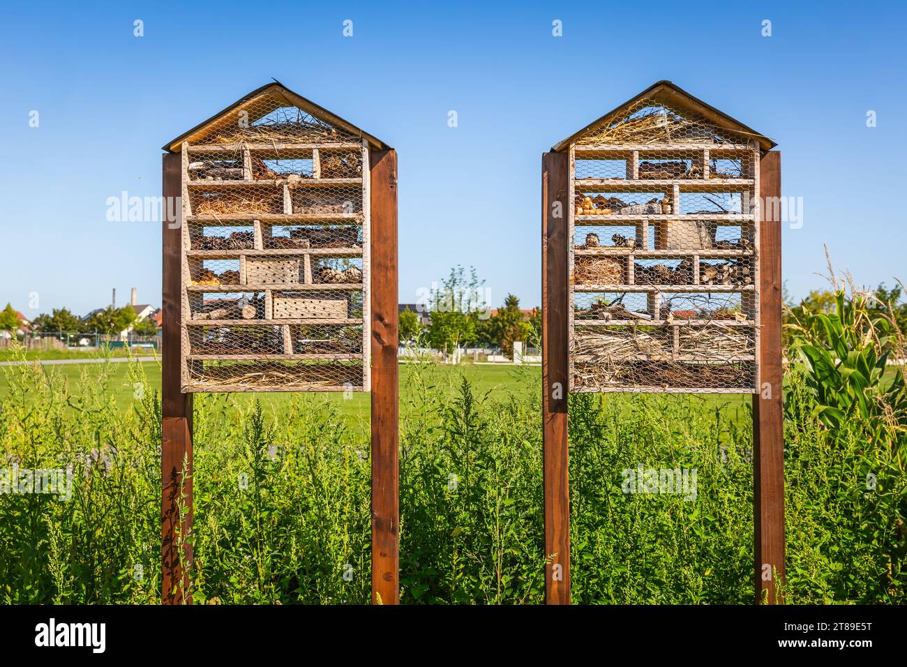 2 Holzkäfer-Haus-Hotel in einem Feld, biologische Vielfalt Stockfoto