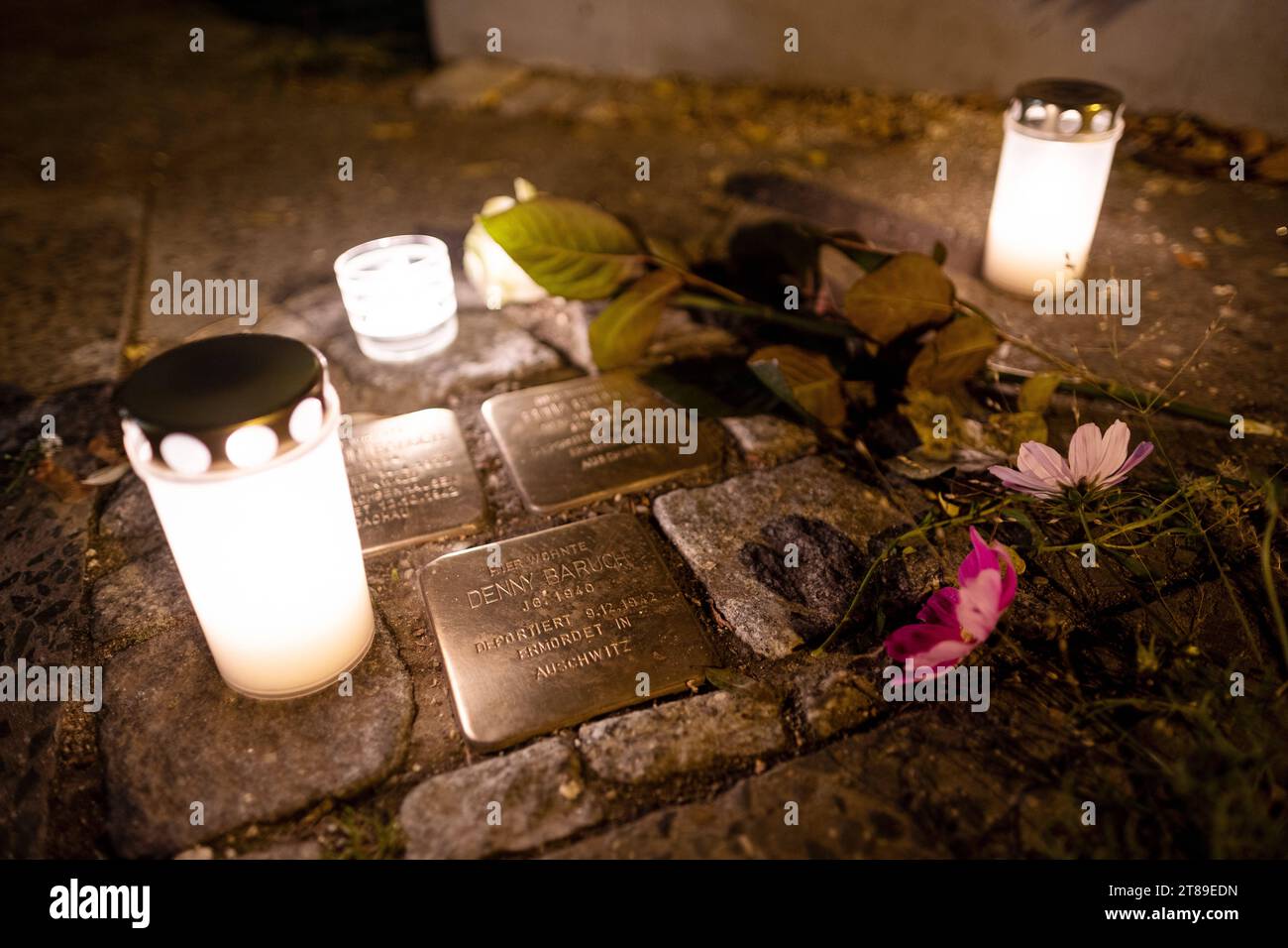 Anlässlich des 85. Jahrestage der nationalsozialistischen und antisemitischen Progrome am 9. November 1938 liegen Blumen auf Stolpersteinen in der Schulzestraße in Berlin-Pankow./ anlässlich des 85. Jahrestages der nationalsozialistischen und antisemitischen Proteste am 9. November 1938 werden in der Schulzestraße in Berlin-Pankow Blumen auf Stolpersteinen gelegt. Schnappschuss-Fotografie/K.M.Krause *** anlässlich des 85. Jahrestages der nationalsozialistischen und antisemitischen Proteste am 9. November 1938 werden in der Schulzestraße in Berlin Pankow Schnappschuss-Fotografie Blumen auf Stolpersteine gelegt Stockfoto