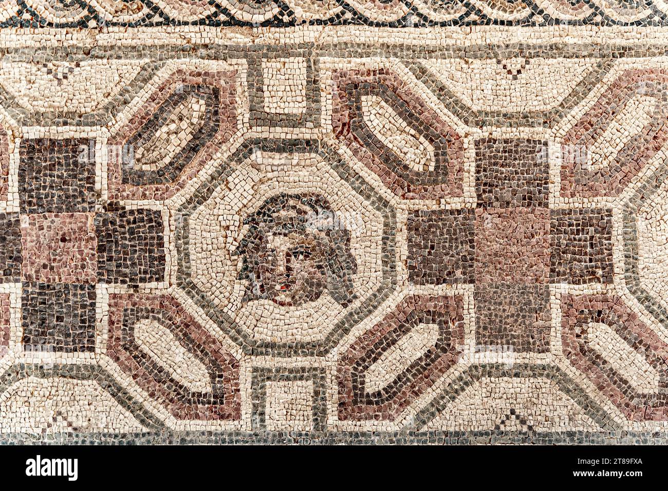 Antikes Mosaik auf dem Boden des Hauses Dionysos. Archäologischer Park von Paphos. Zypern. Stockfoto