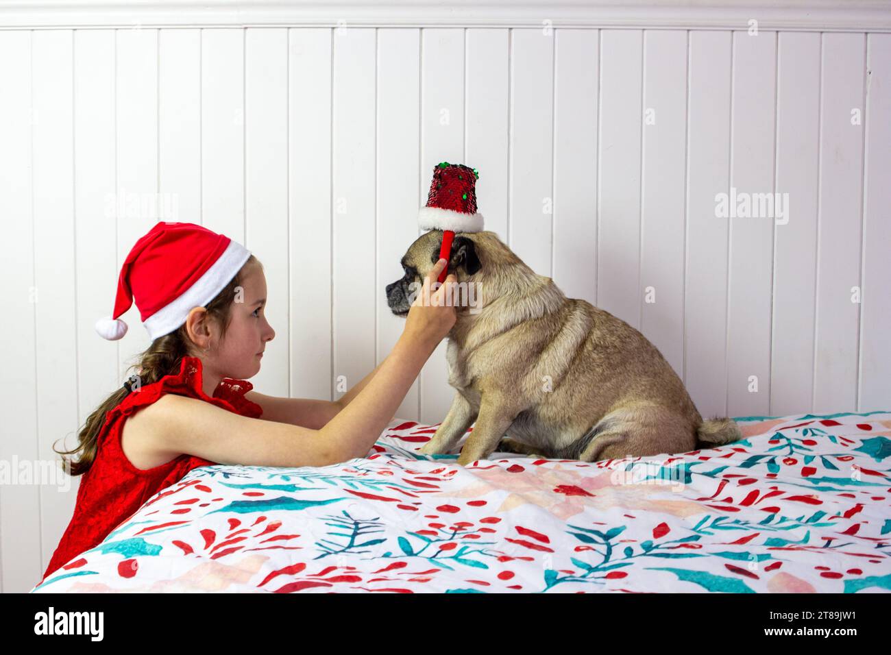 Das kleine Mädchen und ihr Hund, nicht jeder will sich zu Weihnachten verkleiden Stockfoto