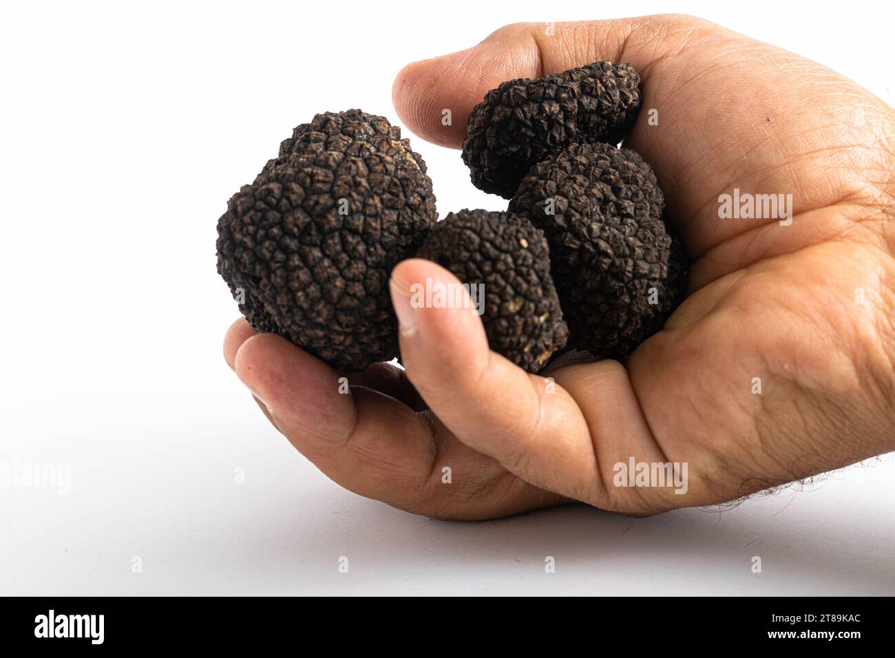 Hand hält schwarze Trüffel auf weißem Hintergrund Stockfoto
