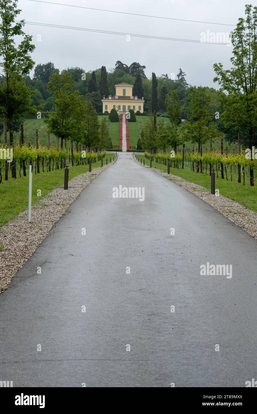 Albinea, Emilia-Romagna Italien, Blick entlang der Zufahrt zur Villa Tacoli Stockfoto