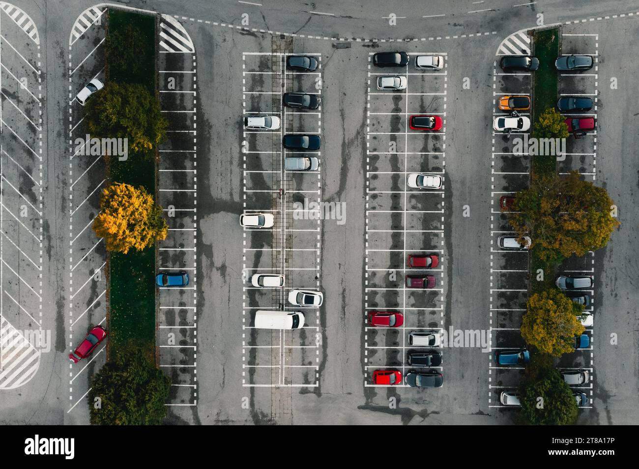 Parkplatz und geparkte farbenfrohe Autos zwischen den Linien von oben (Ansicht von oben) - grauer Betonhintergrund. Parkplatz mit bunten Bäumen im Herbstmeer Stockfoto