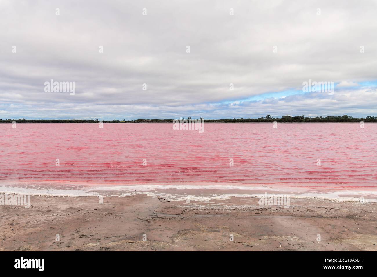 Pink Punit Lake vom Western Highway aus gesehen an einem Tag, Dimboola, Victoria, Australien Stockfoto