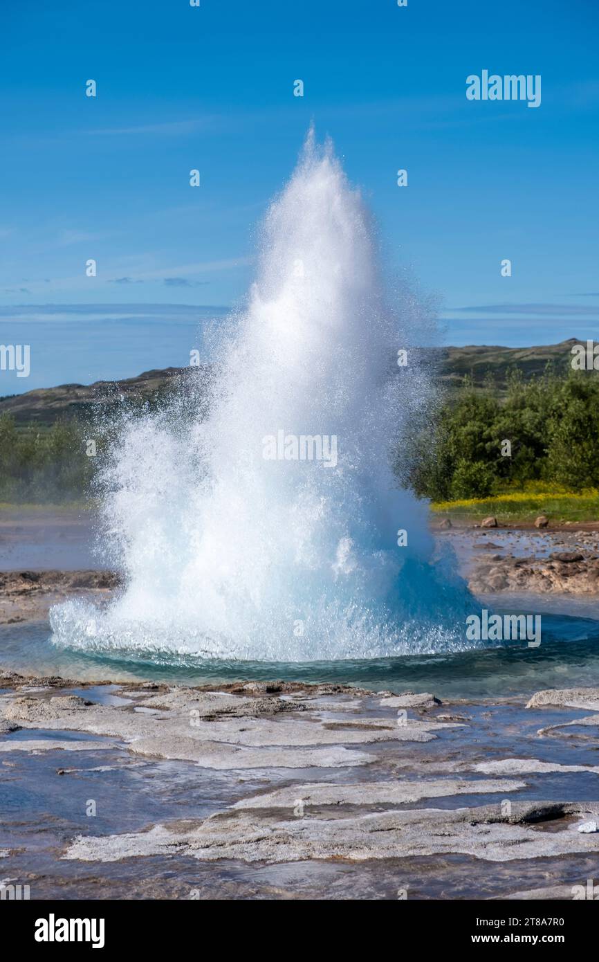 Strokkur ist Islands meistbesuchte aktive Geysir. Eine der drei Hauptattraktionen auf der weltberühmten Golden Circle Sightseeing Route - Haukadalur Stockfoto