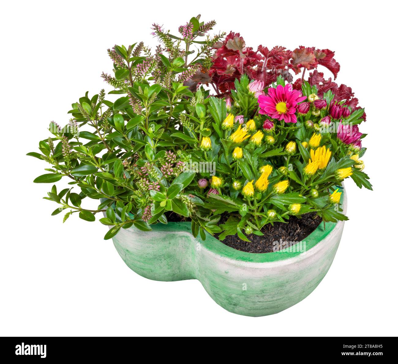 Nahaufnahme eines isolierten Blumendekos in einem herzförmigen Tontopf Stockfoto