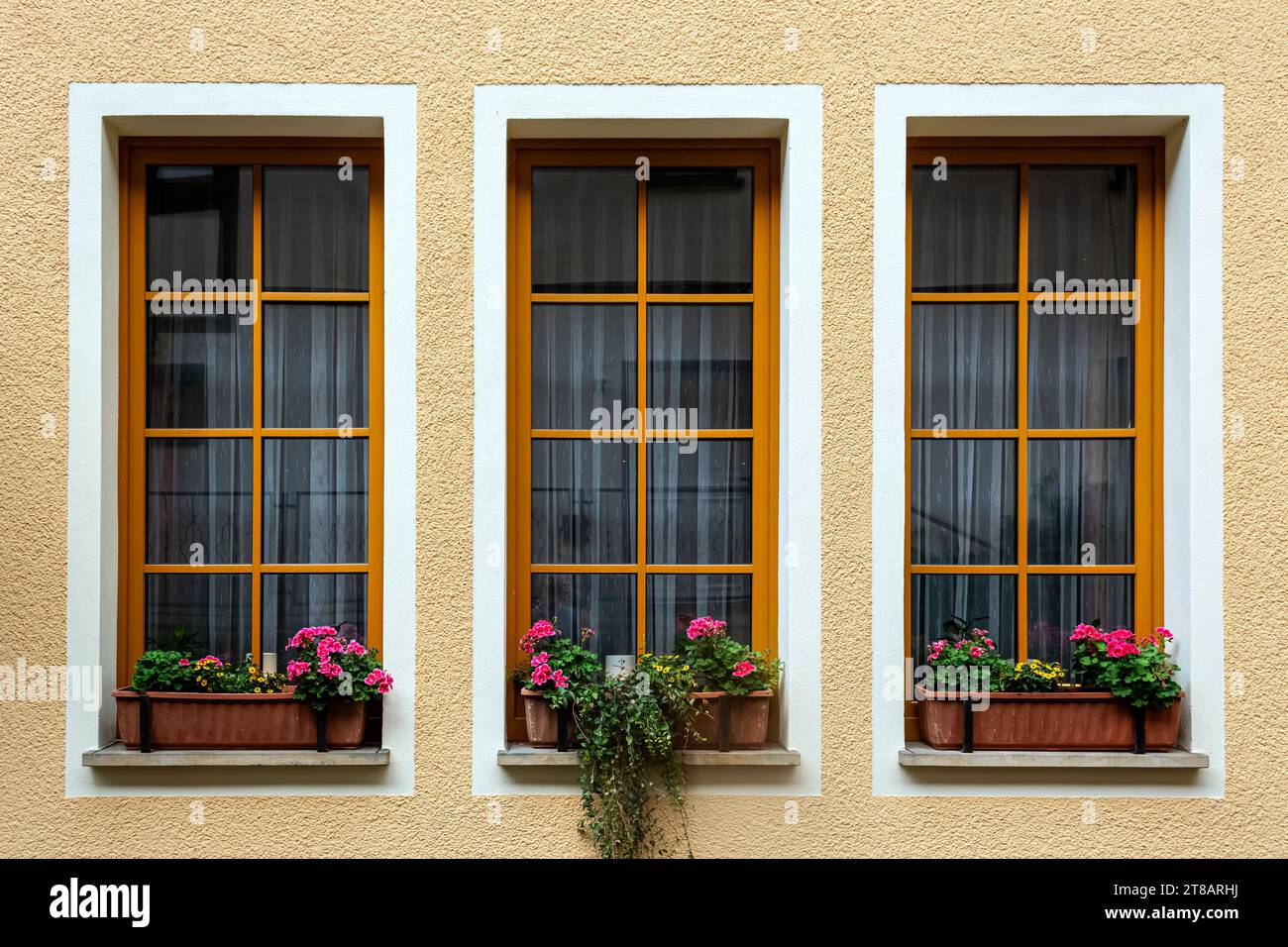 Drei rechteckige Fenster mit Blumen auf der Fensterbank, mit orangefarbenen Rahmen auf beigefarbenem Hintergrund. Aus der Serie Windows of the World. Stockfoto