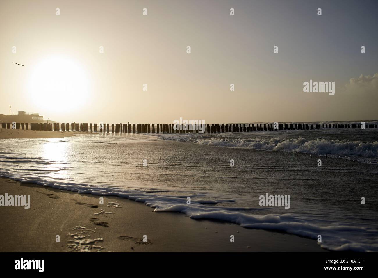 Domburg, Niederlande 11 13 2024, Oase Restaurant am Strand in Domburg, Hintergrundbeleuchtung, windiges Wetter, keine Leute Stockfoto