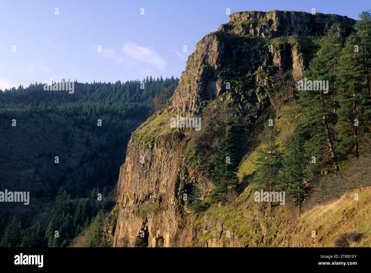 Basaltrand über dem historischen Columbia River Highway in der Nähe von McCall Point, Mayer State Park, Columbia River Gorge National Scenic Area, Oregon Stockfoto