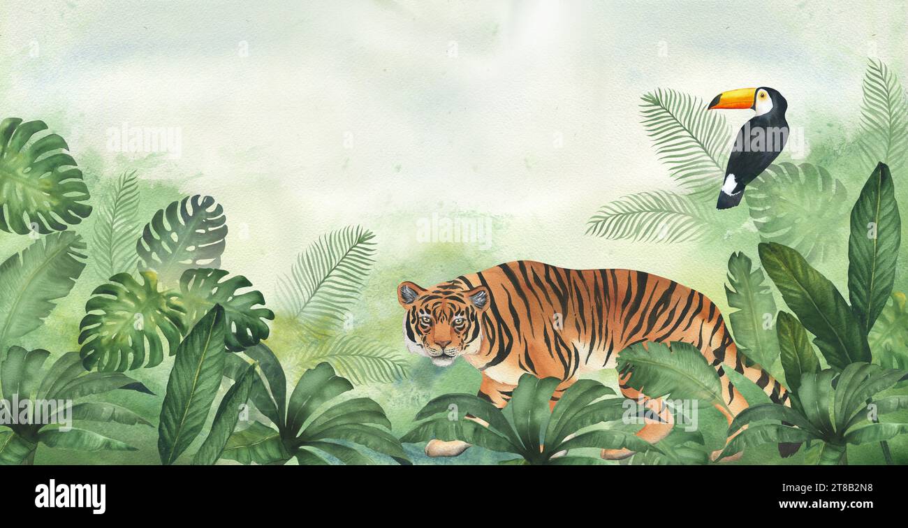 Aquarellgrün Hintergrund, Dschungel und Pflanzen, Tiger und Tukan. Banner oder Rand für Kinder Hintergrundbild Stockfoto