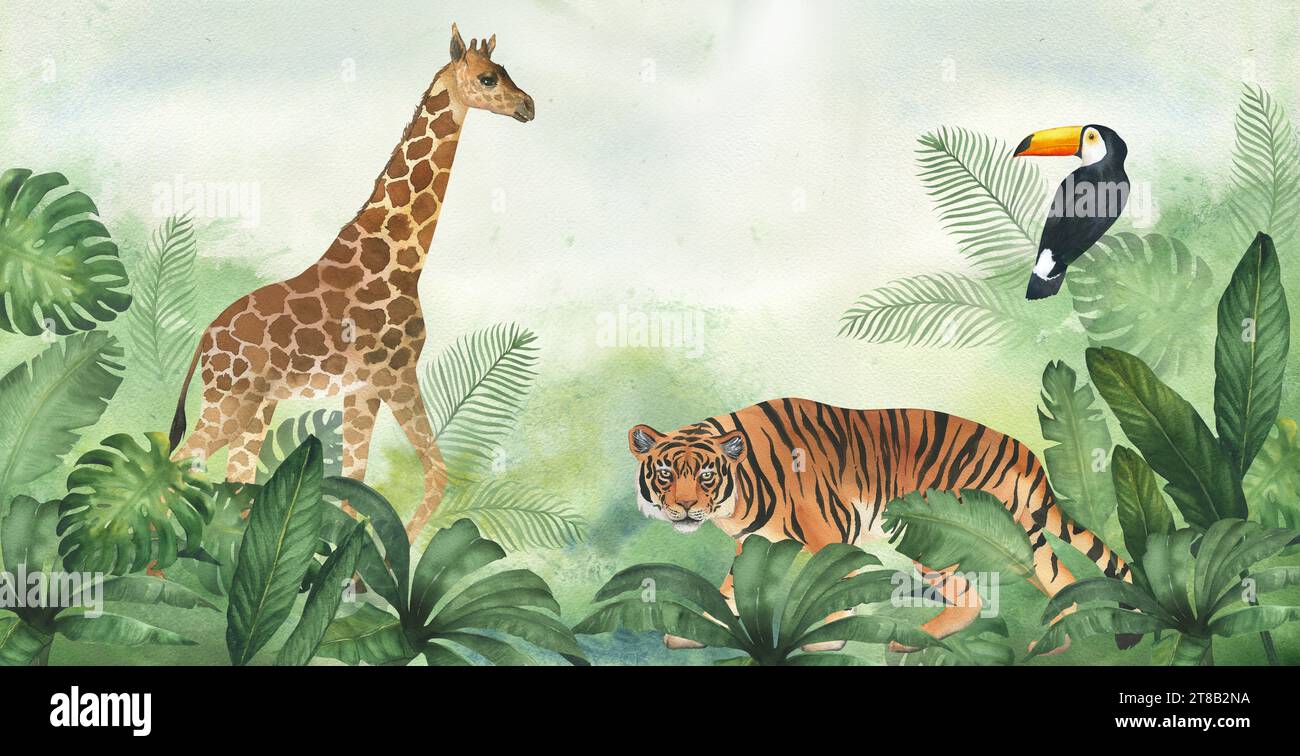 Aquarellgrün Hintergrund, Dschungel und Pflanzen, Tiger, Giraffe und Tukan. Banner oder Rand für Kinder Hintergrundbild Stockfoto