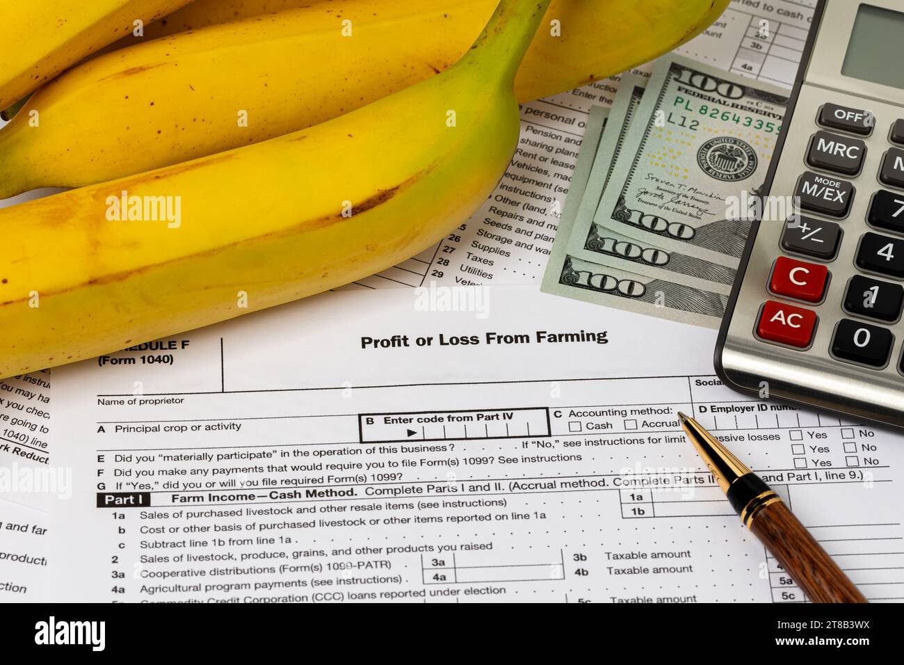 Steuerformular für Bananen und landwirtschaftliche Gewinne oder Verluste mit Rechner. Einkommen, Finanzen und Plantagenmanagement für Bananen- und Obstbauernhöfe. Stockfoto