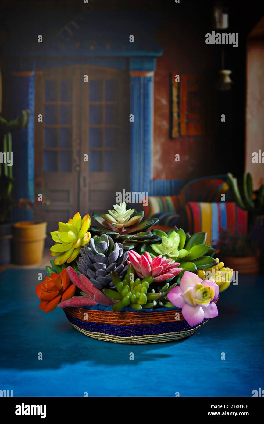 Saftige Pflanzenanordnung in farbenfrohem, gewebtem Korb im traditionellen, rustikalen, farbenfrohen mexikanischen Haus Stockfoto