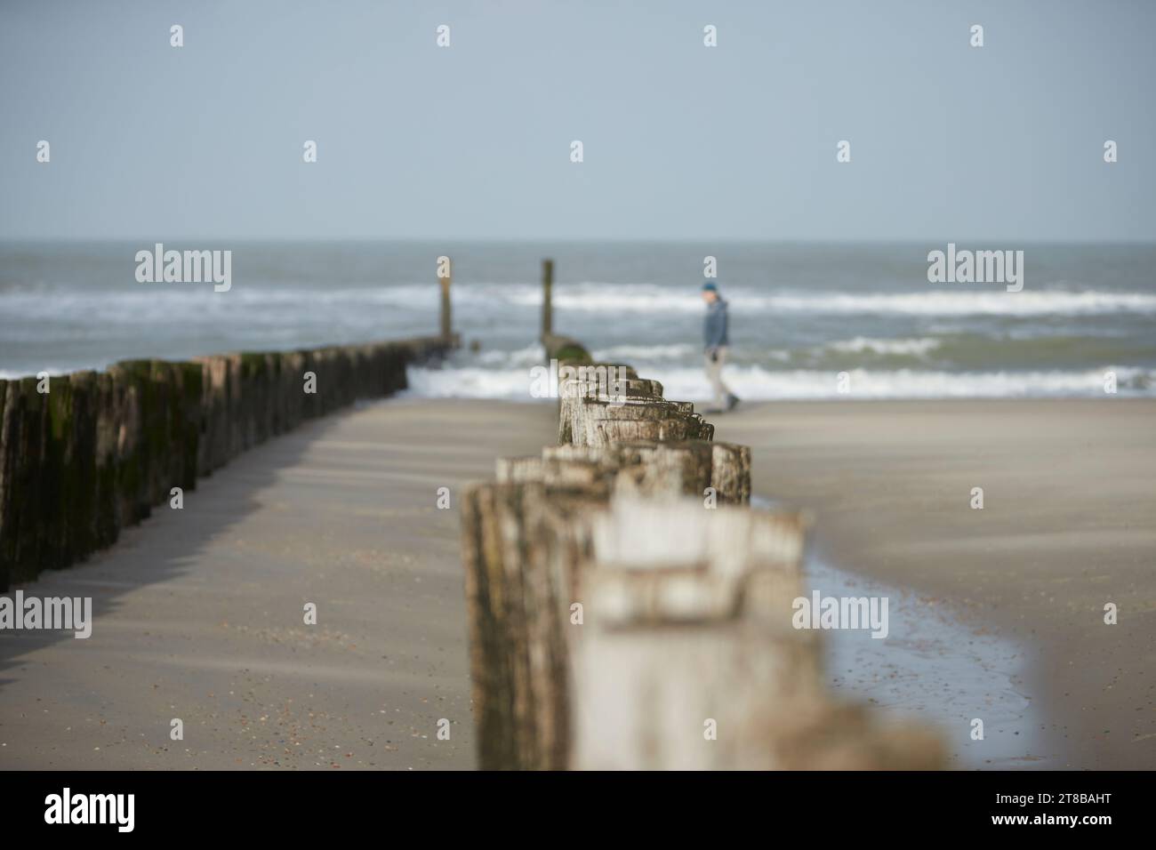 Wellen der Nordsee am Strand, Wellenbrecher, wandelnder Mann im defokussierten Hintergrund Stockfoto