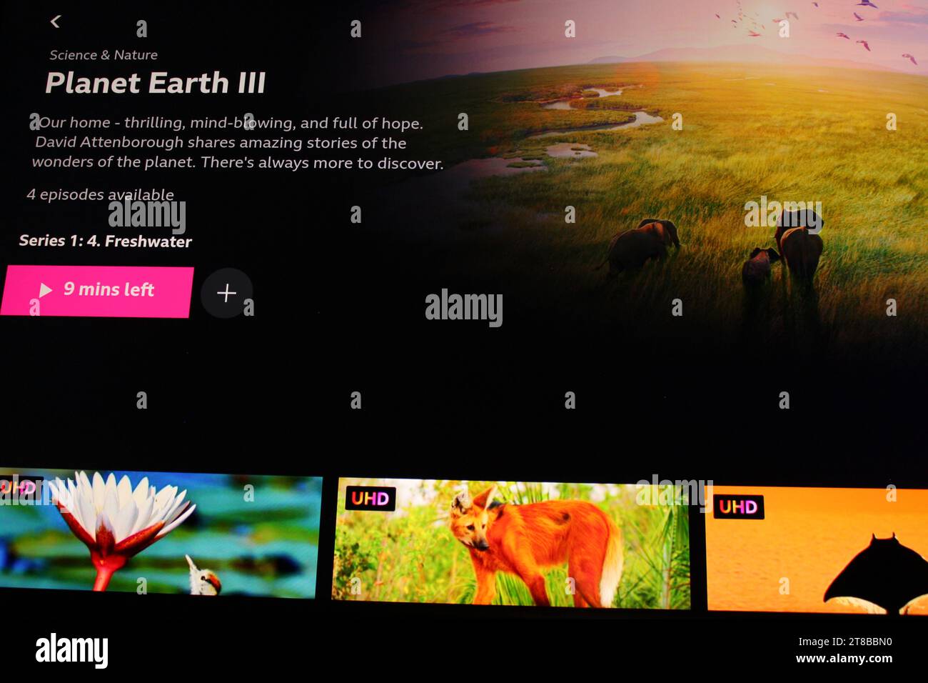 Planet Earth auf dem BBC iPlayer, der zu Hause auf einem Fernsehbildschirm (TV) angezeigt wird. Staffel 3 läuft derzeit Stockfoto