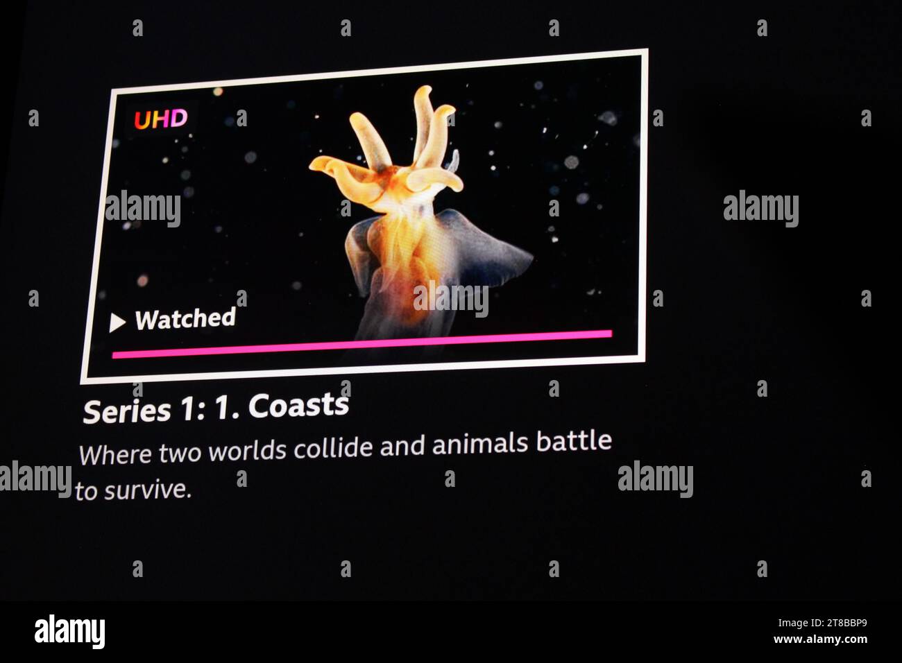 Planet Earth auf dem BBC iPlayer, der zu Hause auf einem Fernsehbildschirm (TV) angezeigt wird. Staffel 3 läuft derzeit Stockfoto