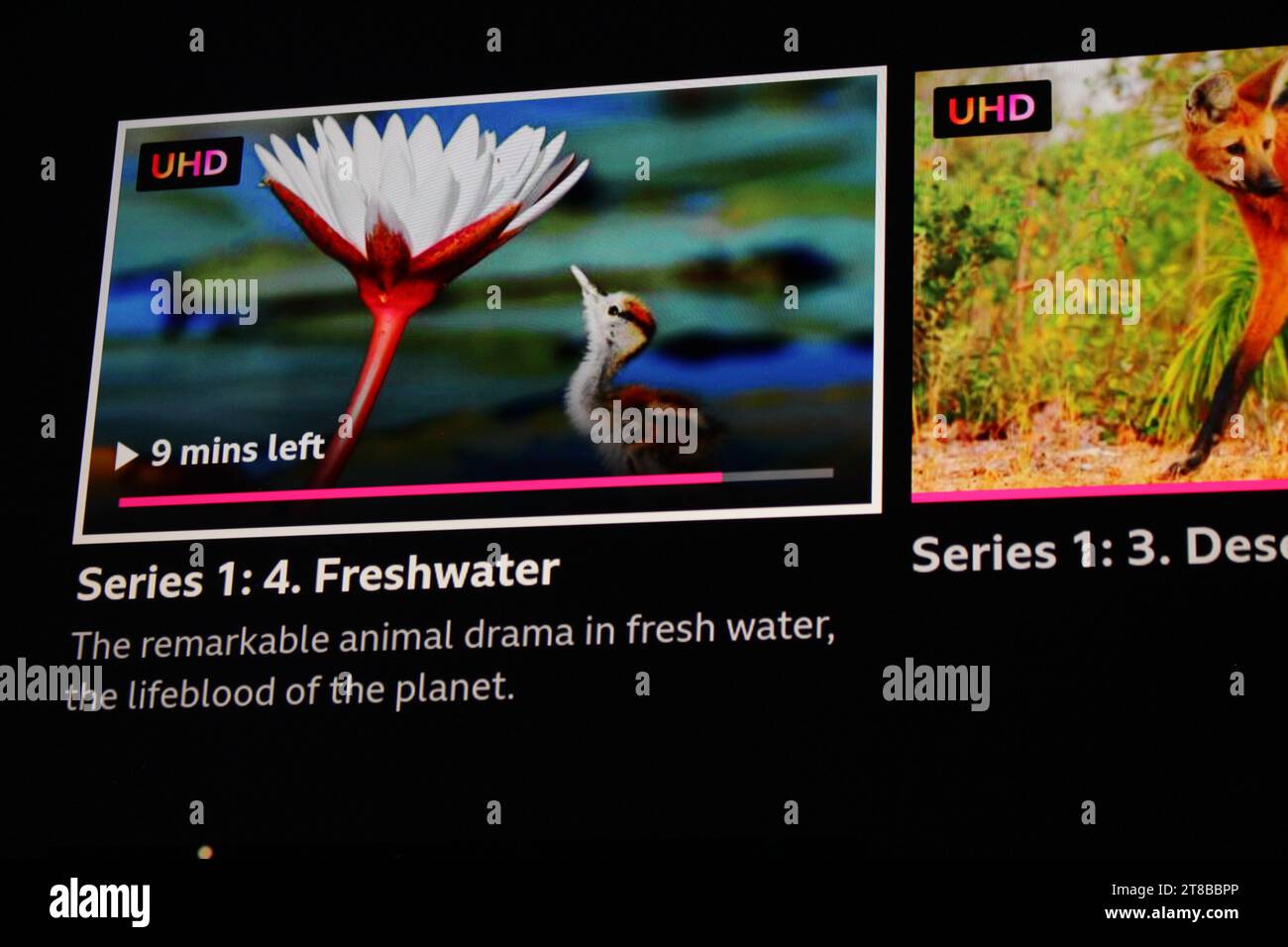 Planet Earth auf dem BBC iPlayer, der zu Hause auf einem Fernsehbildschirm (TV) angezeigt wird. Staffel 3 läuft derzeit Stockfoto
