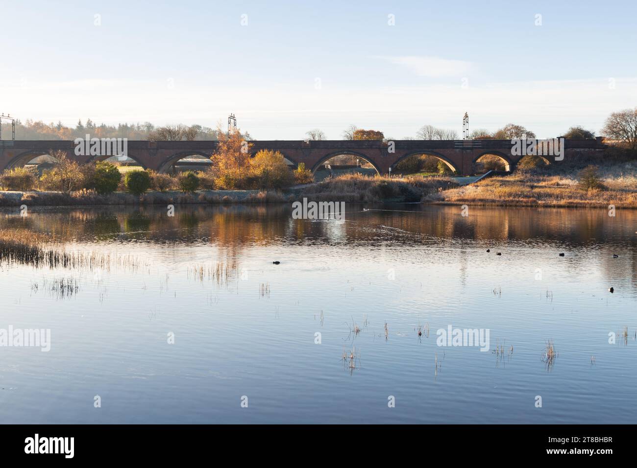 Ein schottisches Reservoir in der Nähe von Glasgow an einem frostigen Wintermorgen Stockfoto