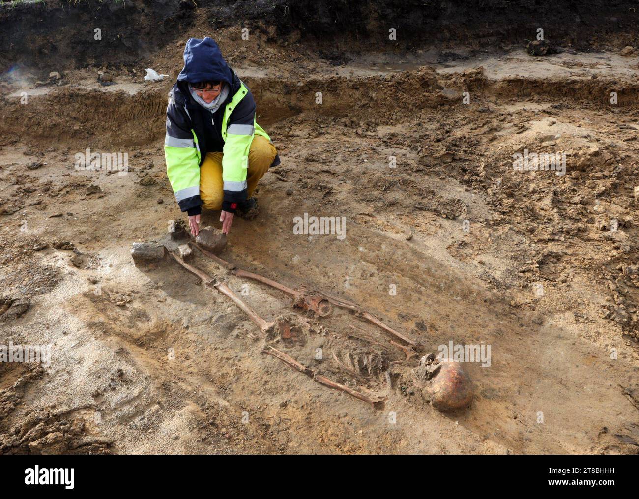 12.11.2023 Sachsen Anhalt Sachsen-Anhalt LDSA Landesamt für Archäologie und Denkmalpflege in SA Ausgrabung Archäologen im Zusammenhang mit der Errichtung des SuedOstLinks zwischen Wolmirstedt bei Magdeburg und dem Standort Isar in Bayern führt das Landesamt für Denkmalpflege und Archäologie Sachsen-Anhalt derzeit archäologische Ausgrabungen im Bereich Halle Saale durch. Innerhalb des 18, 5 Meter breiten Trassenkorridors zwischen Oppin und Obermaschwitz werden zur Zeit eine Siedlung und ein Gräberfeld der späten Römischen Kaiserzeit dokumentiert. Gefunden wurden die Pfostenlöcher eines zweischi Stockfoto