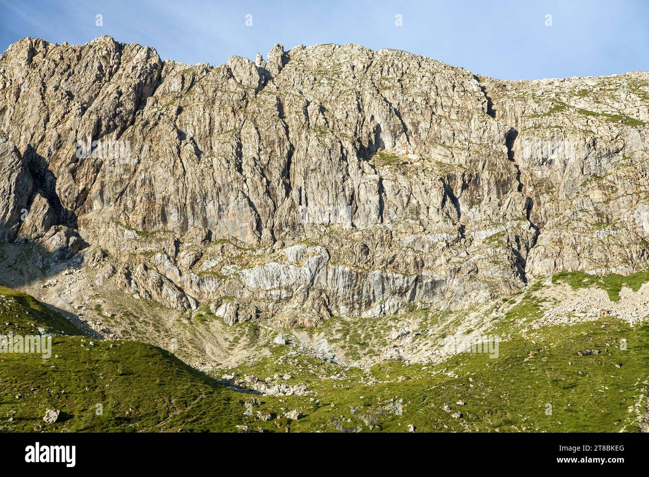 Felsmauer und Wiese, Karnische Alpen, Österreich Stockfoto