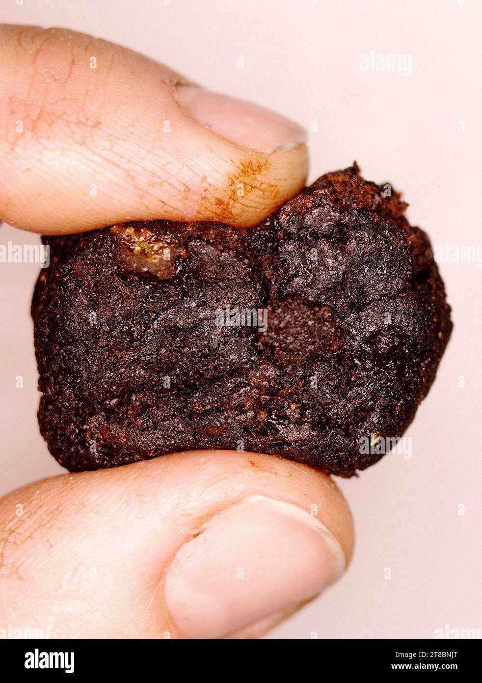 ROHES OPIUM Stockfoto