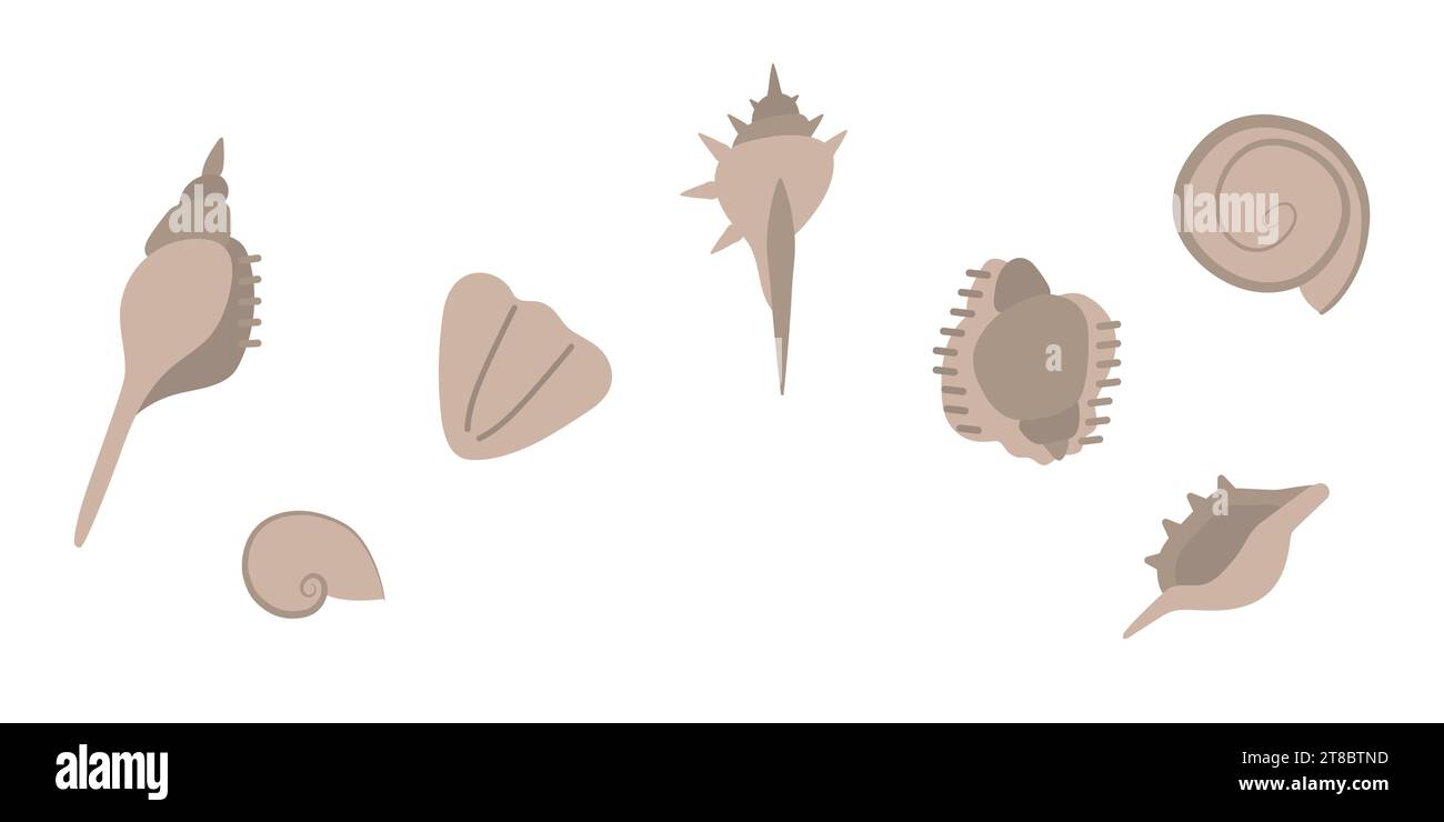 Eine Reihe Muscheln, die am Strand gefunden wurden. Vektorillustration in Pastellfarben Stock Vektor
