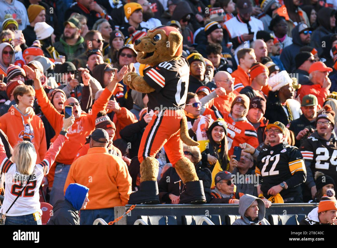 Cleveland, Ohio, USA. November 2023. 19. November 2023 Cleveland Browns Fans während der Pittsburgh Steelers vs Cleveland Browns in Cleveland, OH. Jake Mysliwczyk/AMG Media (Kreditbild: © Jake Mysliwczyk/BMR via ZUMA Press Wire) NUR ZUR REDAKTIONELLEN VERWENDUNG! Nicht für kommerzielle ZWECKE! Quelle: ZUMA Press, Inc./Alamy Live News Stockfoto