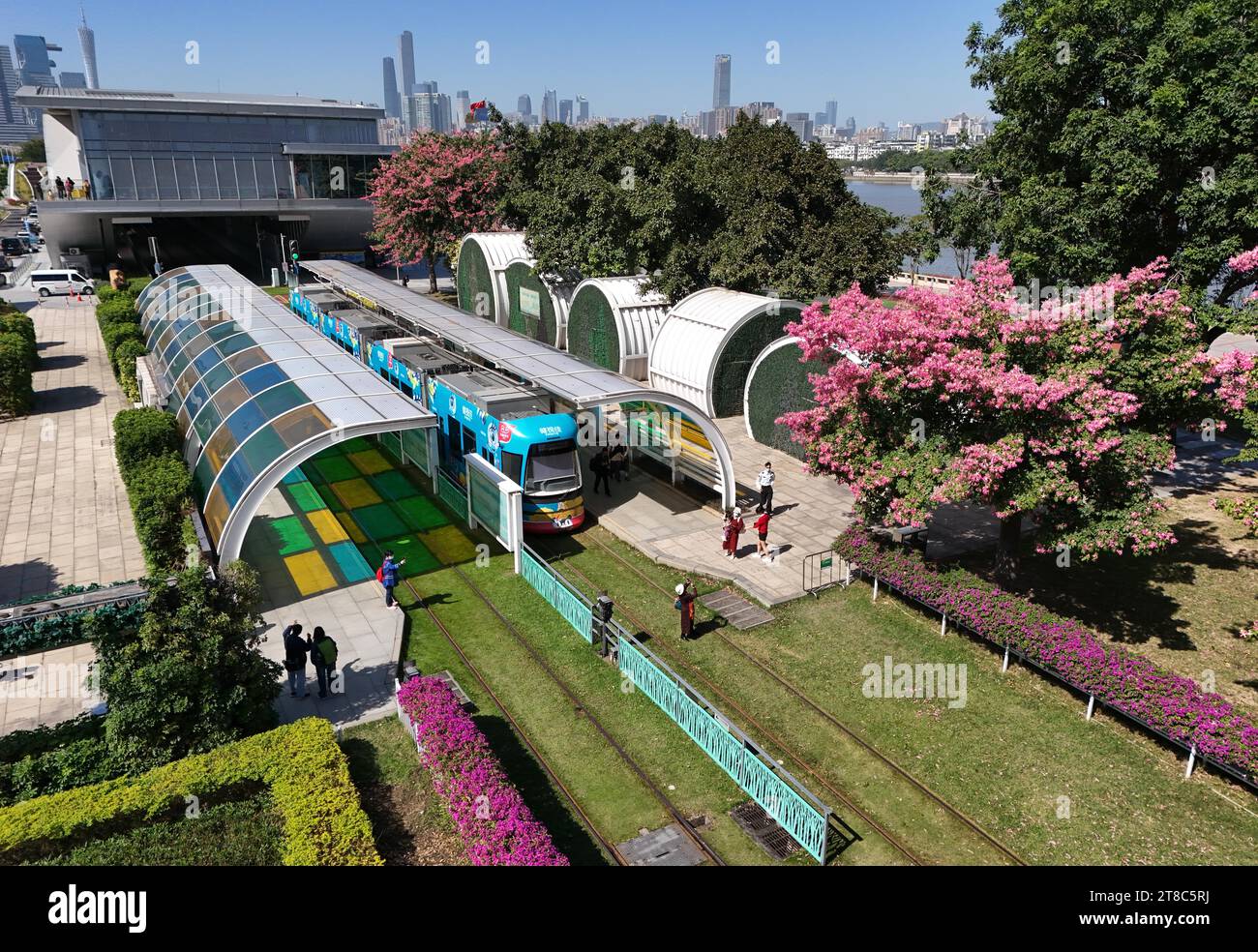 GUANGZHOU, CHINA - 17. NOVEMBER 2023 - am Ostbahnhof der Ausstellung in Guangzhou, Provinz Guangdong, fährt Eine Straßenbahn langsam durch ein Blumenmeer. Stockfoto
