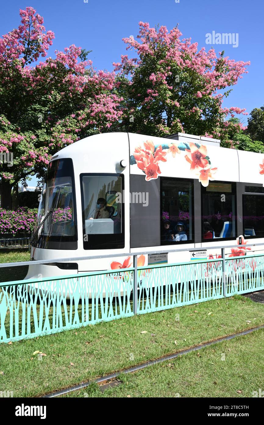 GUANGZHOU, CHINA - 17. NOVEMBER 2023 - am Ostbahnhof der Ausstellung in Guangzhou, Provinz Guangdong, fährt Eine Straßenbahn langsam durch ein Blumenmeer. Stockfoto