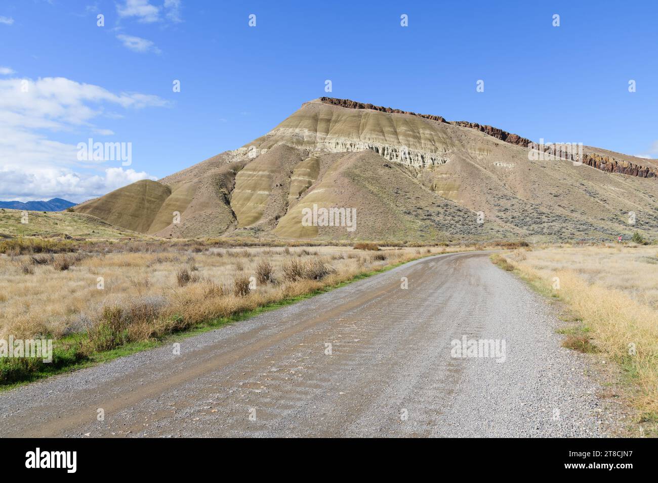 Die Schotterstraße innerhalb des John Day Fossil Beds Painted Hills Unit National Monument führt zum Gipfel Stockfoto