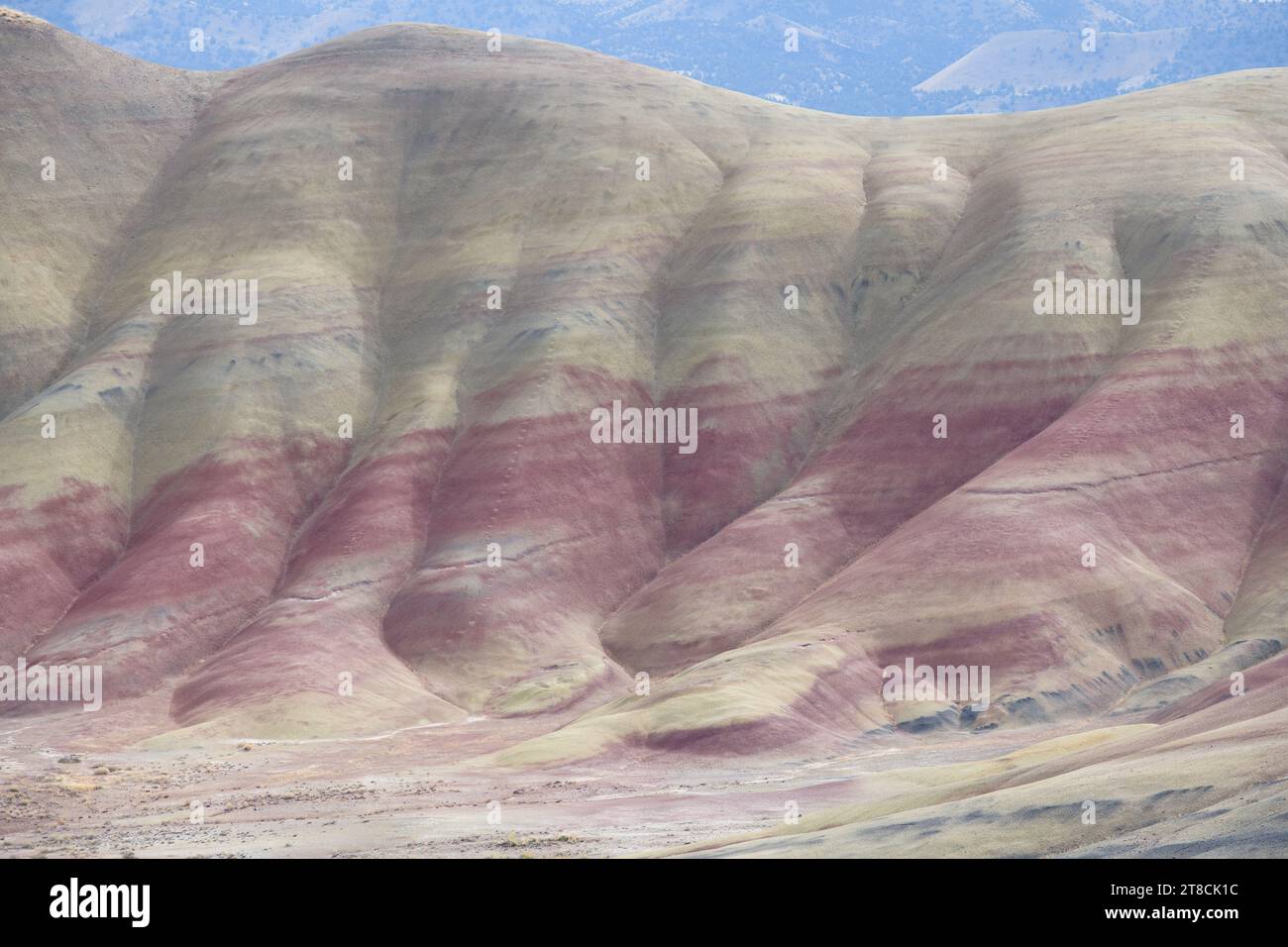 John Day Fossil Beds Painted Hills Unit mit bunten, gedämpften Tönen von sanften Hügeln Stockfoto