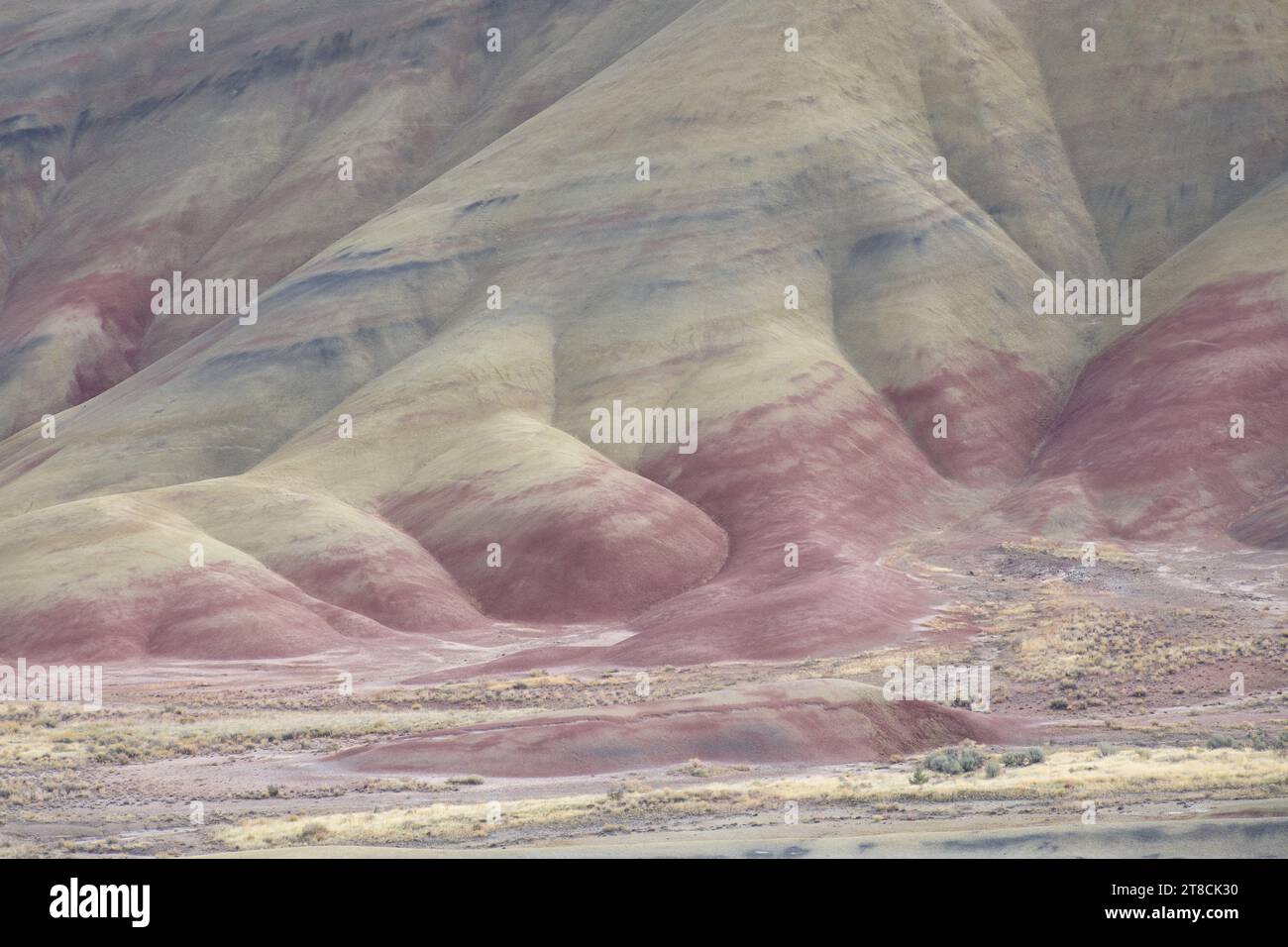 Farbenfrohe gedämpfte Farben der John Day Fossil Beds Painted Hills Unit am Hang Stockfoto