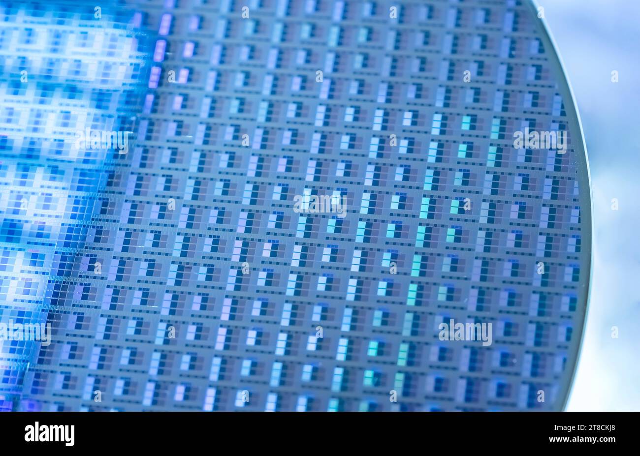 Silizium-Wafer mit Mikrochips, die in der Elektronik zur Herstellung integrierter Schaltungen verwendet werden. Stockfoto