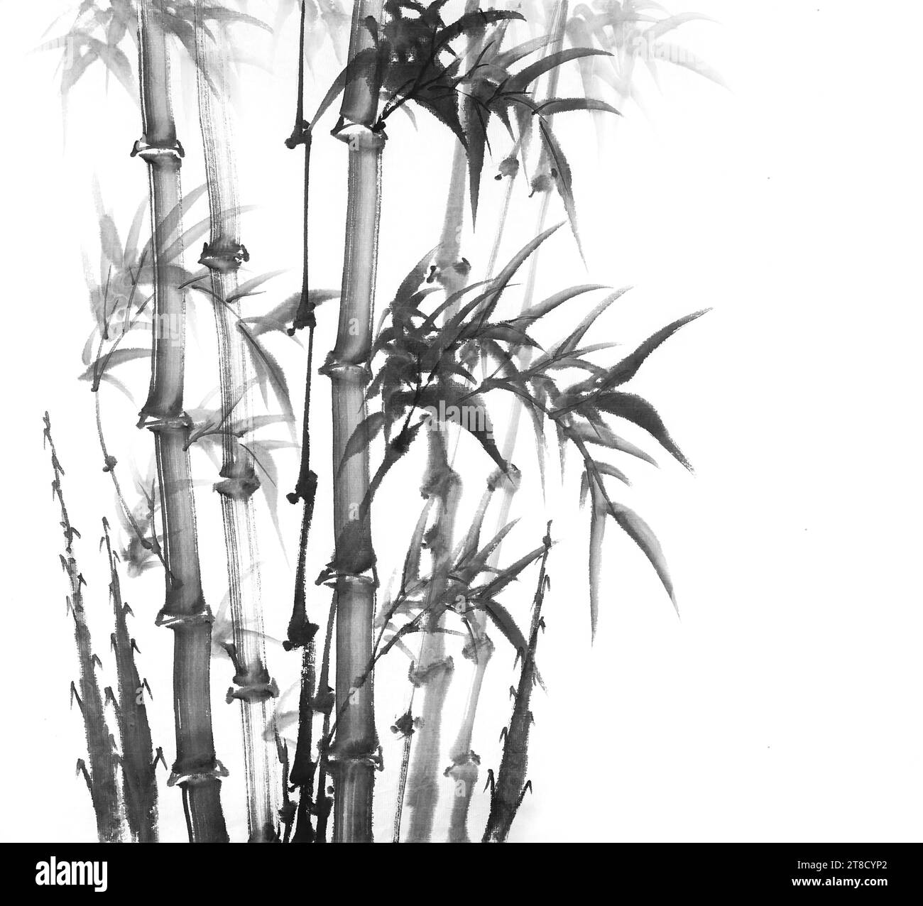 cactus jack top Travis Scott Cactus Jack For Fragment Create T-shirt, XL / New main image 0