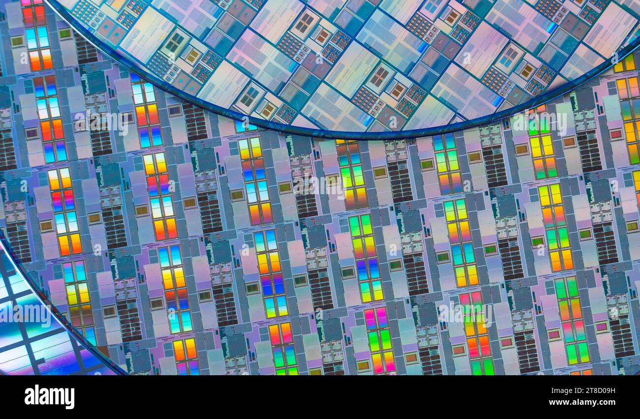 Silizium-Wafer mit Mikrochips, die in der Elektronik zur Herstellung integrierter Schaltungen verwendet werden. Stockfoto