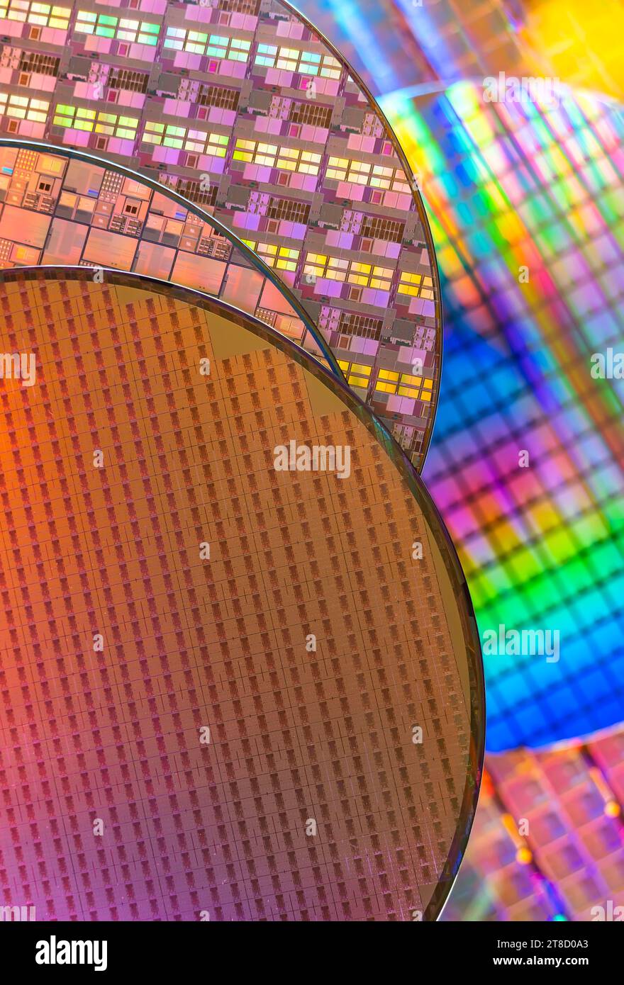 Silizium-Wafer mit Mikrochips, die in der Elektronik zur Herstellung integrierter Schaltungen verwendet werden. Stockfoto