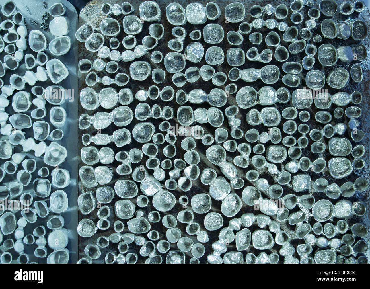 Zahnkronen auf 3d-Drucker für Metall erstellt Stockfoto