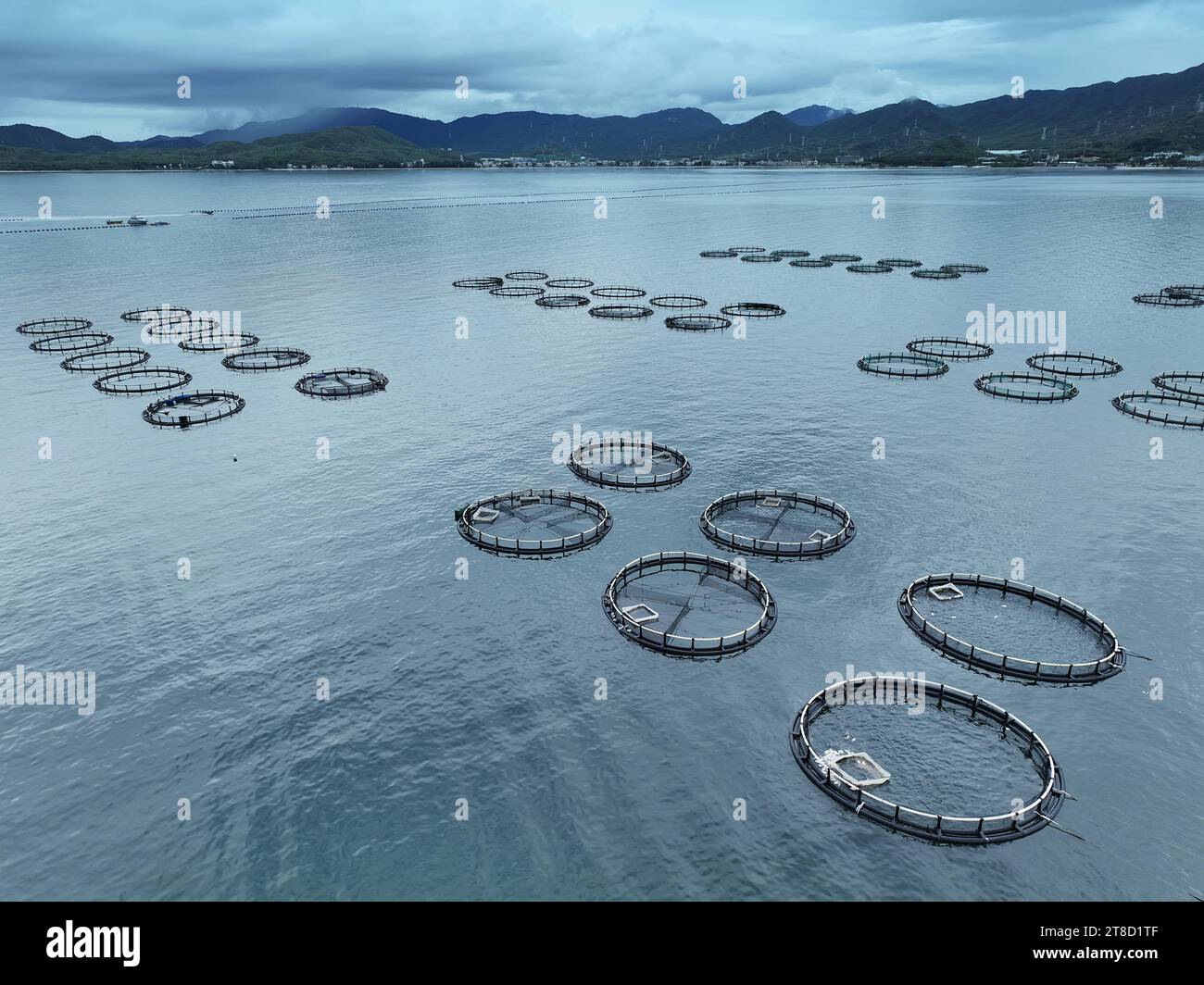 Fischzuchtindustrie. Fischkäfige für Zuchtfische und andere Meerestiere Stockfoto